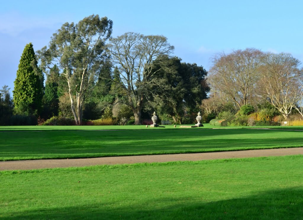 Casas à Venda em Winter Garden
